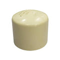 CPVC End Cap - Buildenza