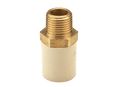 CPVC Male Adaptor Brass Thread (MABT) - Buildenza