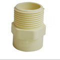 CPVC Male Adaptor Plastic Thread (MAPT) - Buildenza