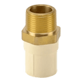 CPVC Reducing Male Adaptor Brass Thread (MABT) - Buildenza